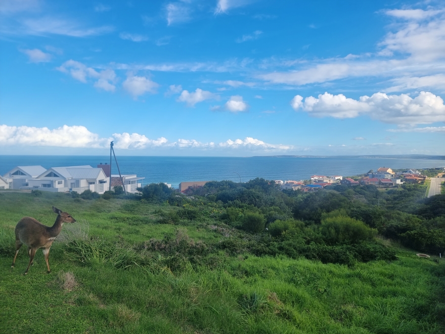 0 Bedroom Property for Sale in Dana Bay Western Cape